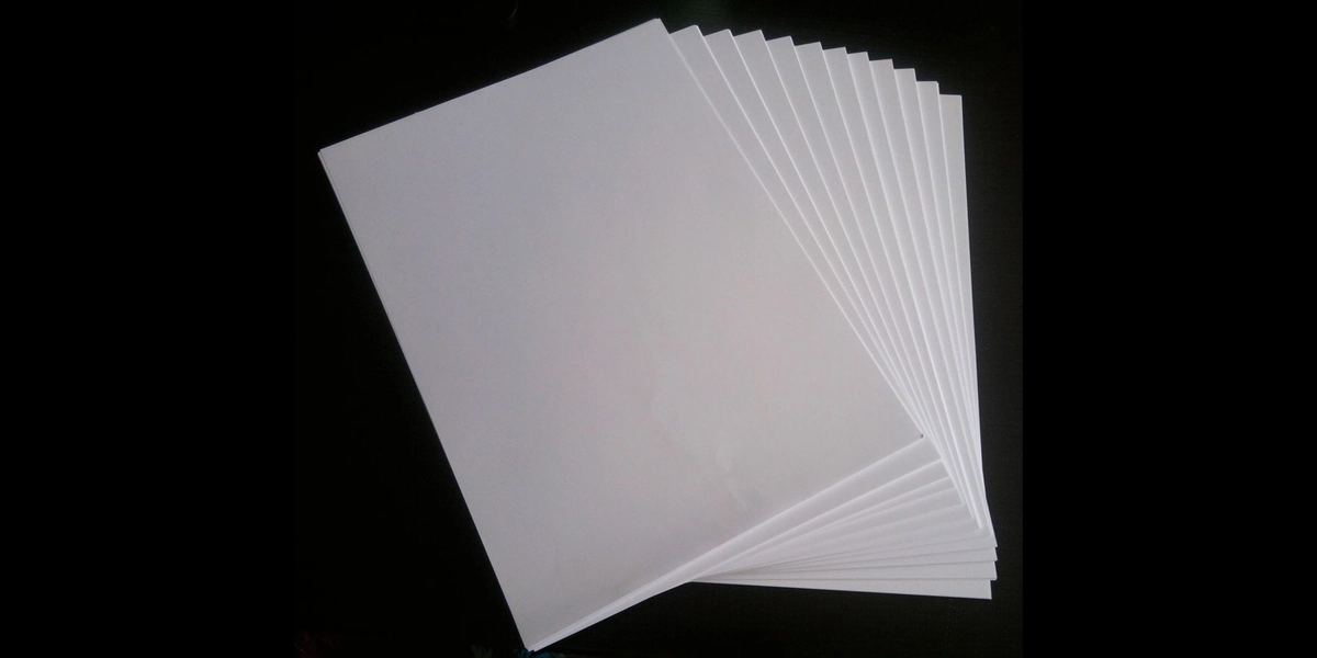 Bìa lưng giấy bằng giấy Fort