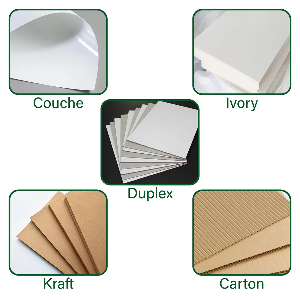 Chất liệu giấy bìa lưng