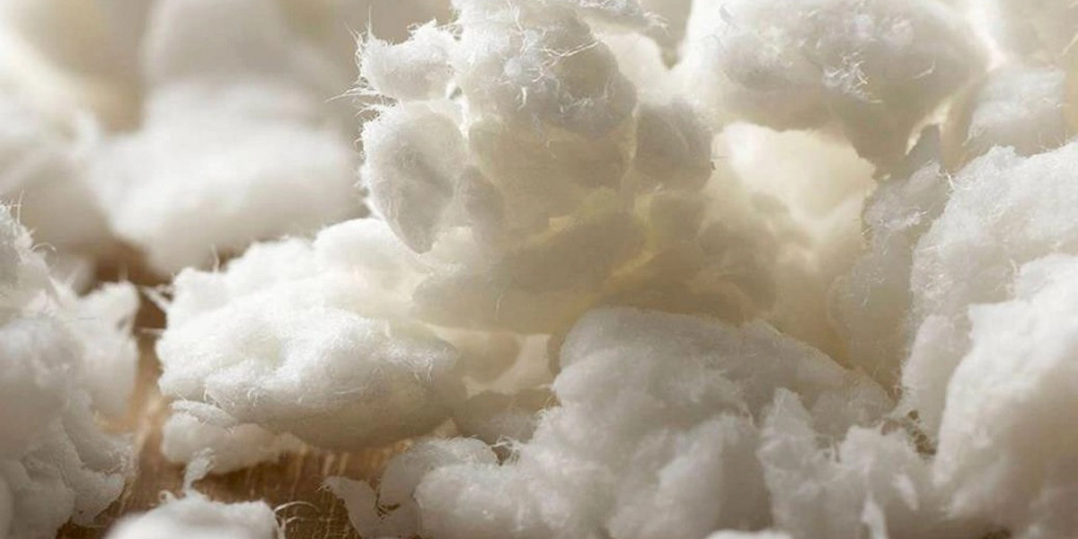 Chất liệu giấy Ivory