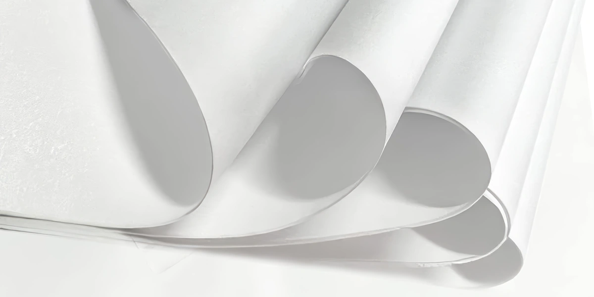 Công ty bán giấy Ford giá tốt tại TP.HCM